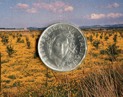 Flora e Fauna da Salvare 1993 Fdc