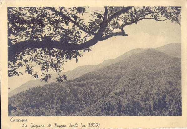 Campigna - Poggio Scali 1940