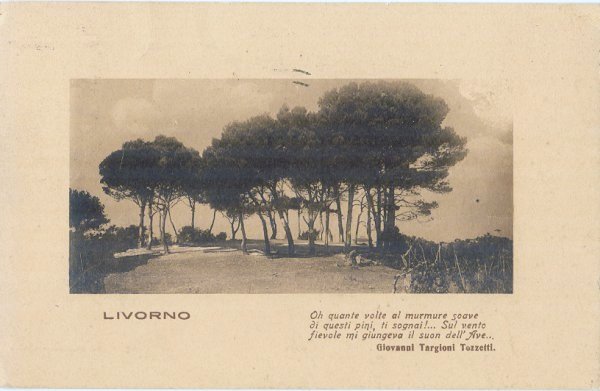 Livorno - cartolina romantica 1924