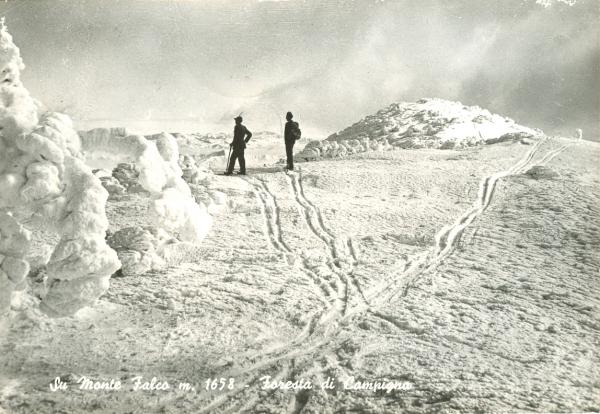 Campigna - Monte Falco 1962