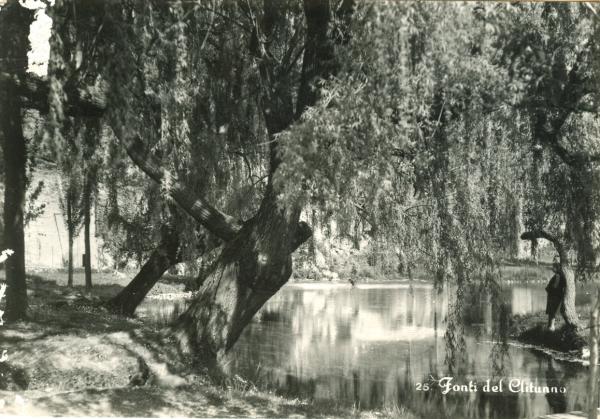 Fonti del Clitunno 1957