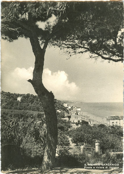 San Menaio - Pineta Riviera Valazzo 1957