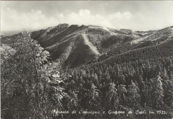 Campigna - La Foresta 1957