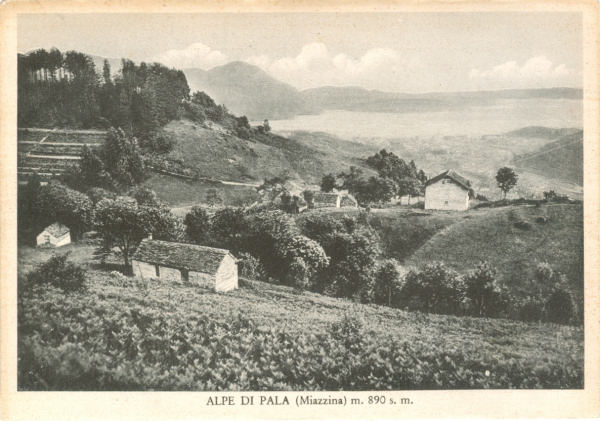 Miazzina - Panorama Alpe di Pala