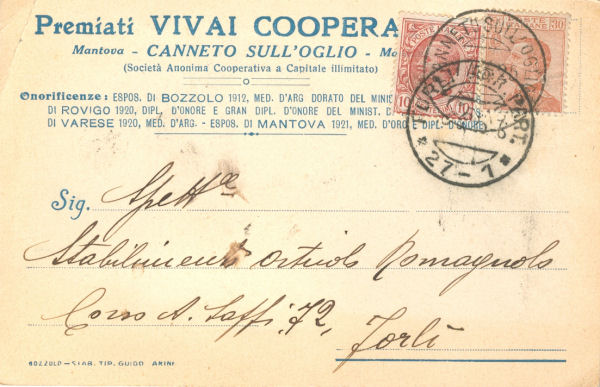 Vivai Cooperativi - Canneto sull' Oglio 1925